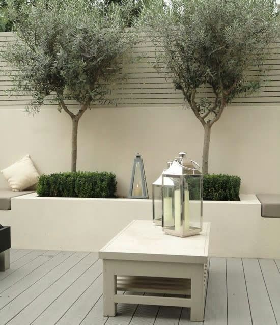 Oliveiras topiárias em jardim minimalista com lanterna